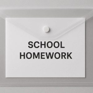 28 Clear Plastic Document Folder Envelope with Snap Button Closure for School Homework Organization